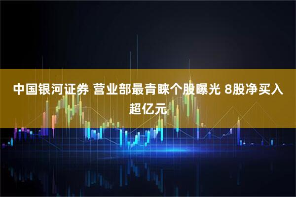 中国银河证券 营业部最青睐个股曝光 8股净买入超亿元