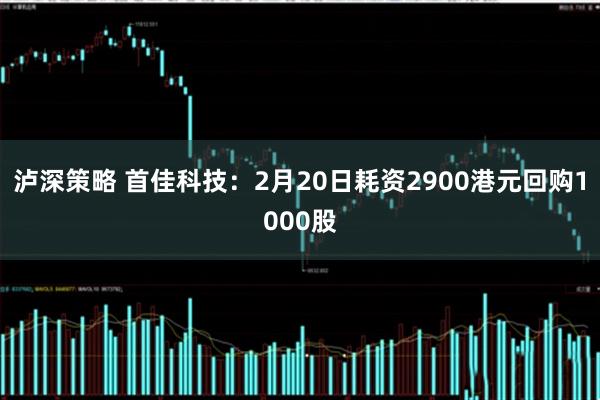 泸深策略 首佳科技：2月20日耗资2900港元回购1000股