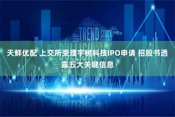 天鲜优配 上交所受理宇树科技IPO申请 招股书透露五大关键信息