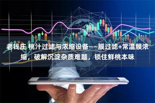 老钱庄 桃汁过滤与浓缩设备——膜过滤+常温膜浓缩，破解沉淀杂质难题，锁住鲜桃本味
