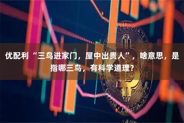 优配利 “三鸟进家门，屋中出贵人”，啥意思，是指哪三鸟，有科学道理？