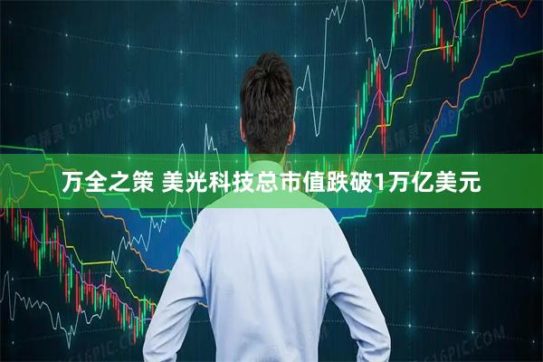 万全之策 美光科技总市值跌破1万亿美元